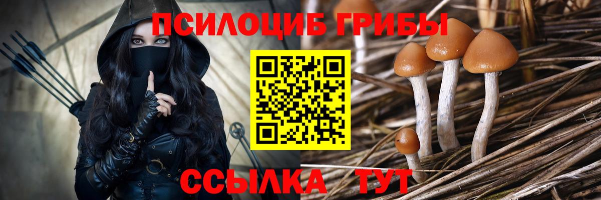 Чита  Псилоцибиновые грибы MAGIC MUSHROOMS  Вход с VPN 