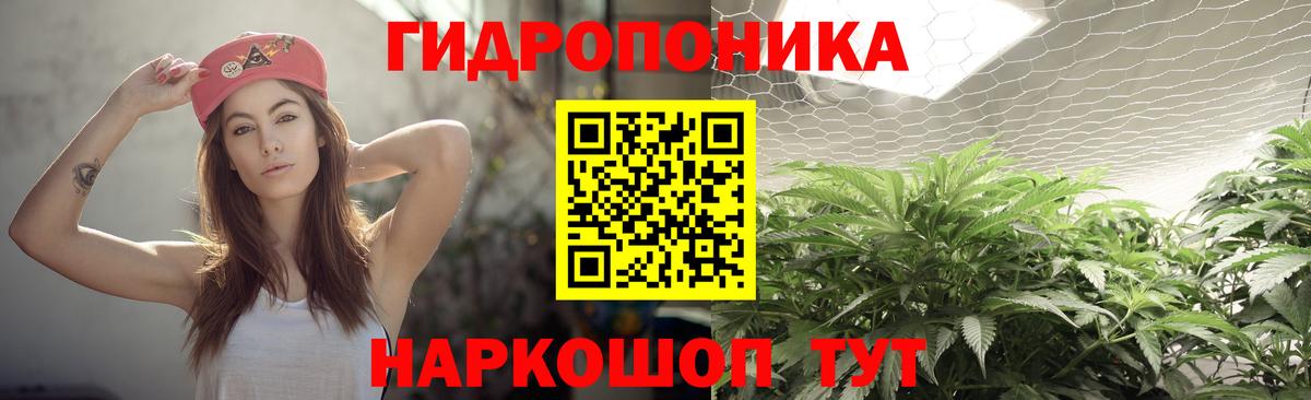 Бошки марихуана Ganja Чита